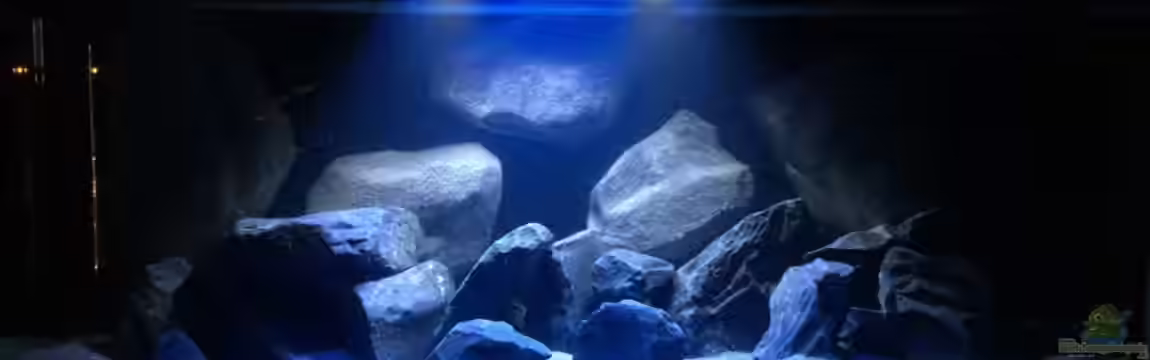 Project Malawi Vol. 1 von Bremerhavener