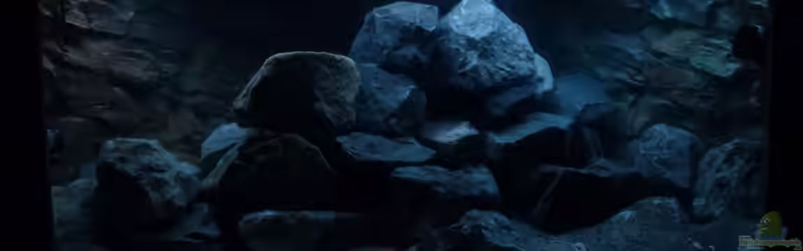 Projekt 71336 Malawi (Aufbaudoku) von Tobias.Neher