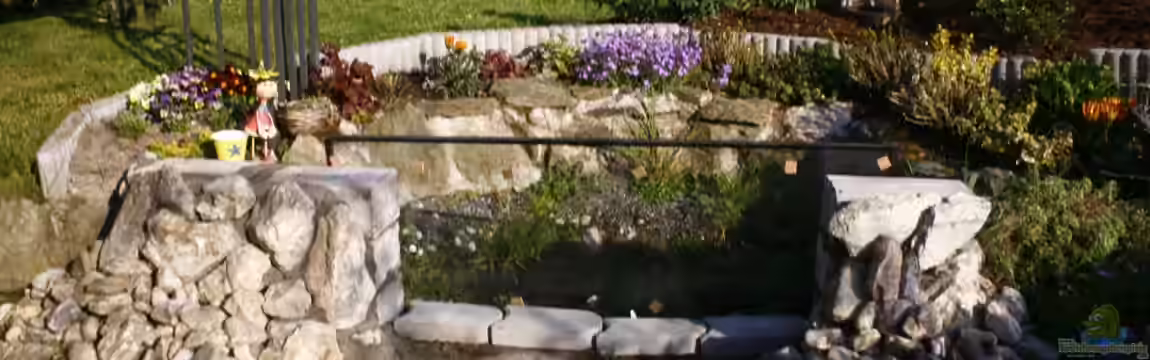 Projekt Guck in den Teich von mocheda