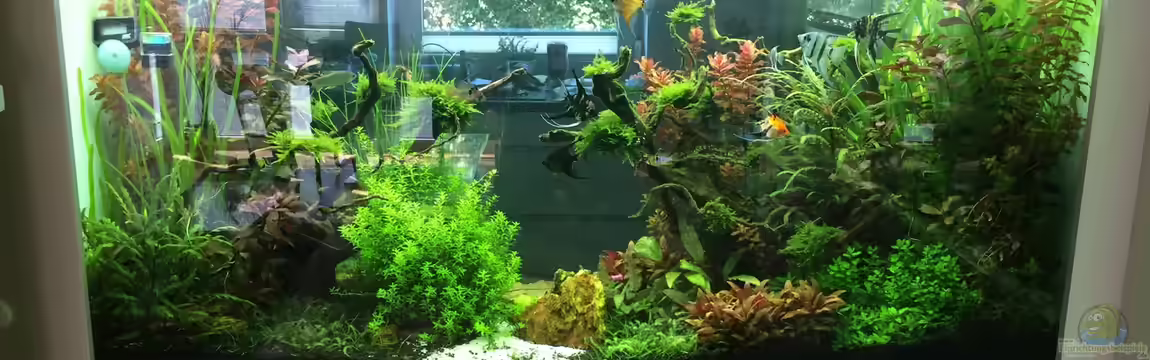 Raumteiler (400L) von Der_Renner