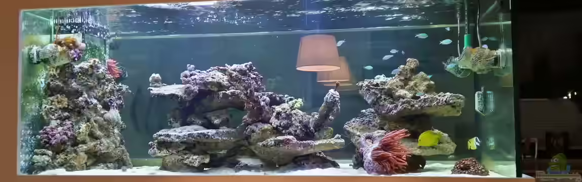 Raumteiler von slobe