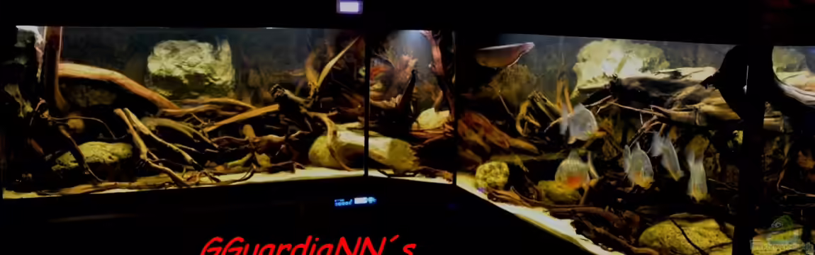 Reborn from the Ashes (Nur noch Beispiel) von GGuardiaNN