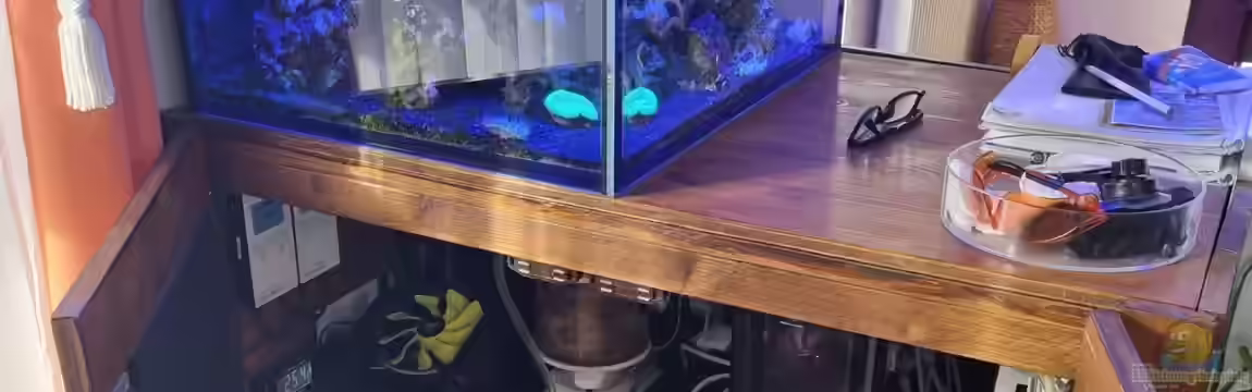 Reeftech Addicted Obsolete von The_Lizardking