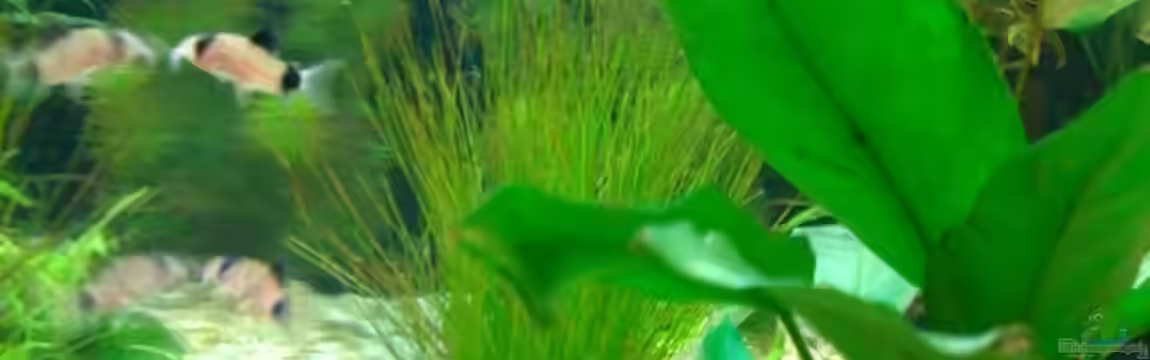 Rio 180 von Bjoern Wenzel