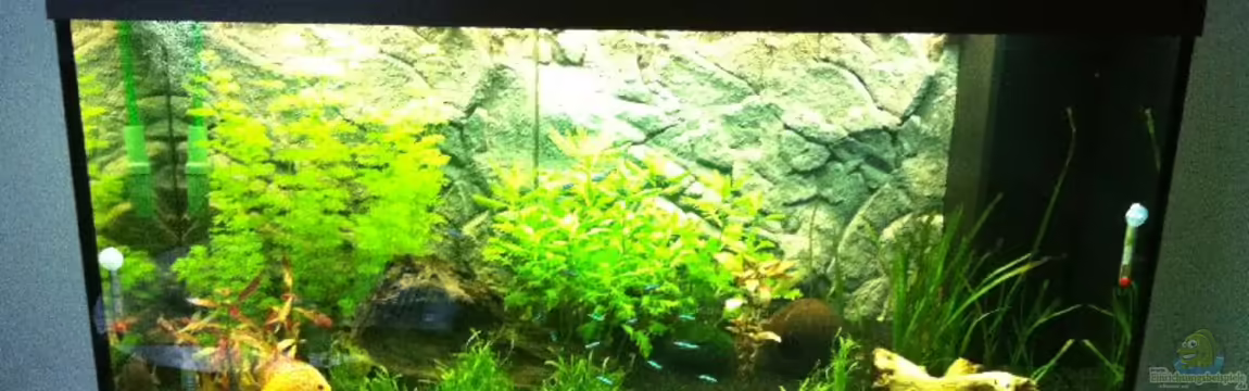 RIO 300 von Stefan Hille