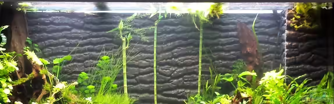 Rio 400 Black & White von sonic85