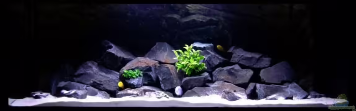 "RIO" Malawi von -Markus-