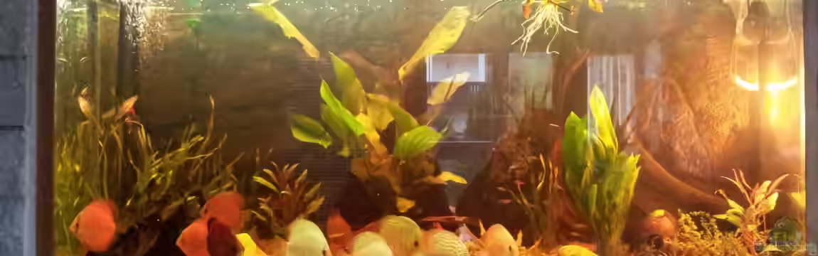 Río Marañón von Steven Schneider