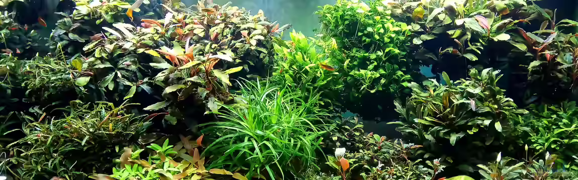 RIO-World von Volkmar1