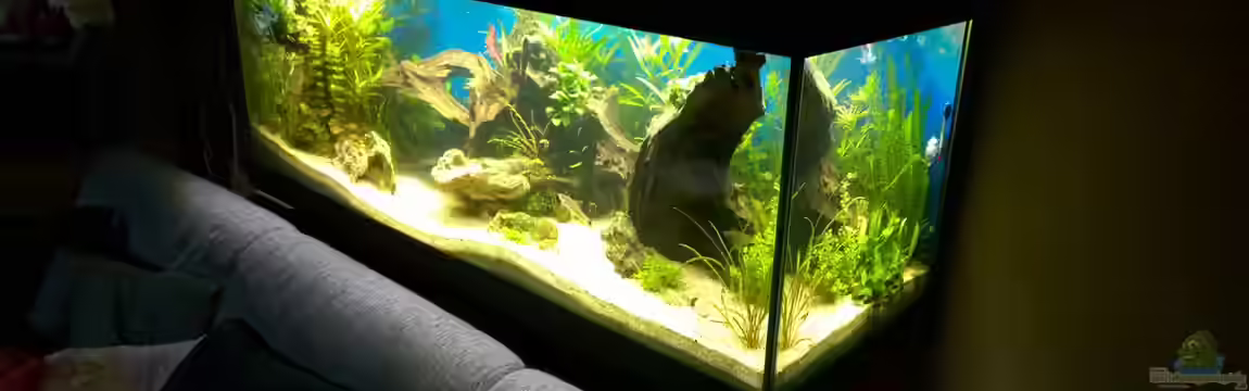 Rio400 SL (ScapingLight) von schuemic