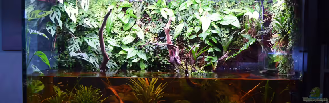 Rivarium von Junglist