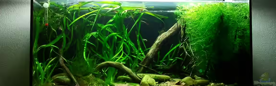 River of White Clouds Mountains von *fly_high*