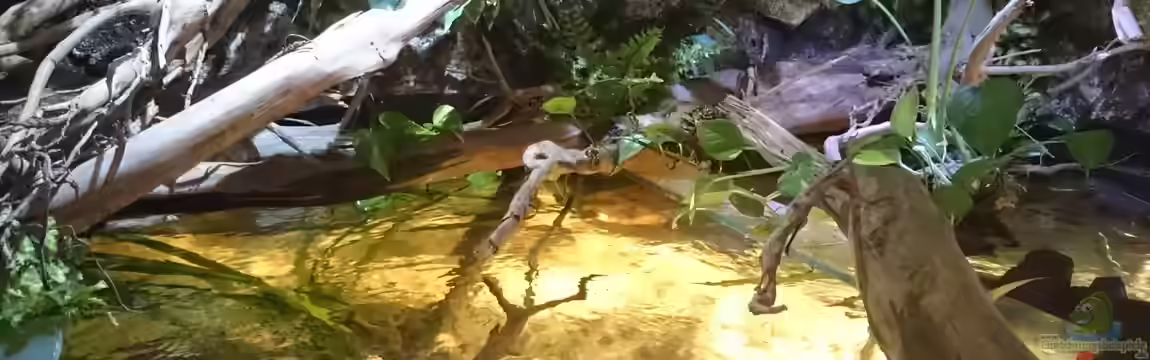 Rochenbiotop von Christoph Ottacher