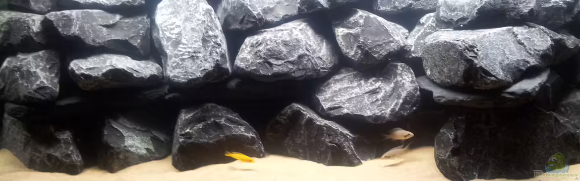 Rock Nature von Labson