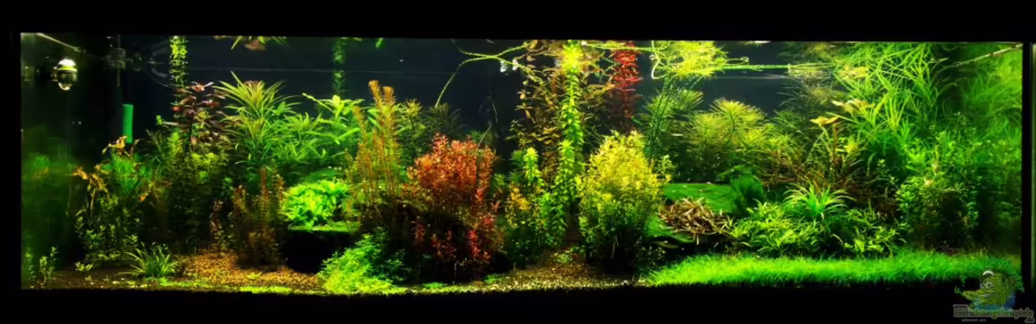 Rocks in the Jungle von flashmaster