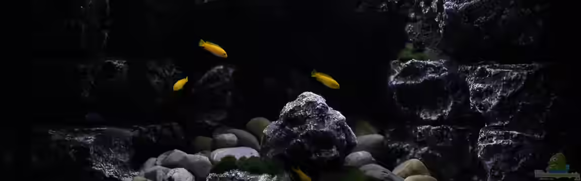 Rocky Cliffs von pa.Trick