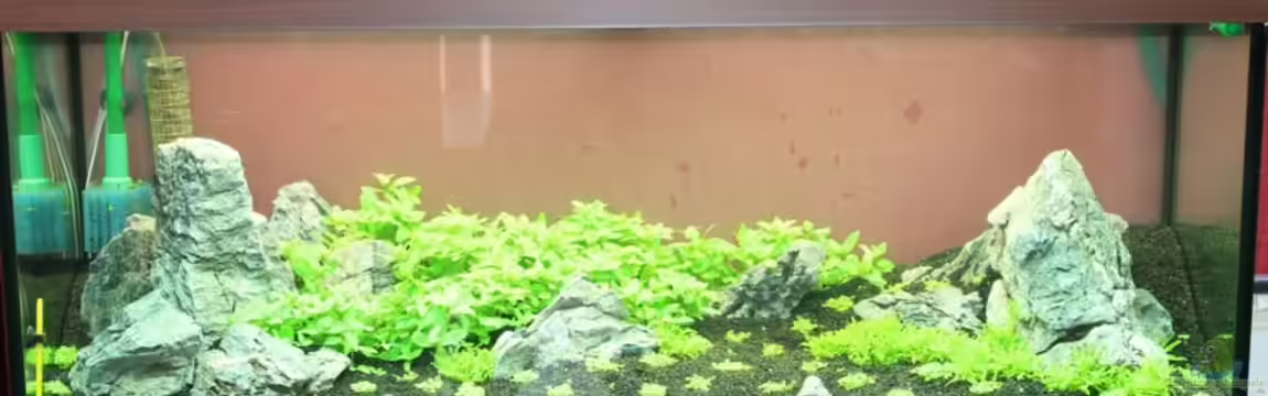 Rocky Woods von Namor Rellek