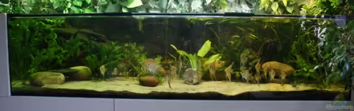 Rotrückenparadies -) von Hightower208