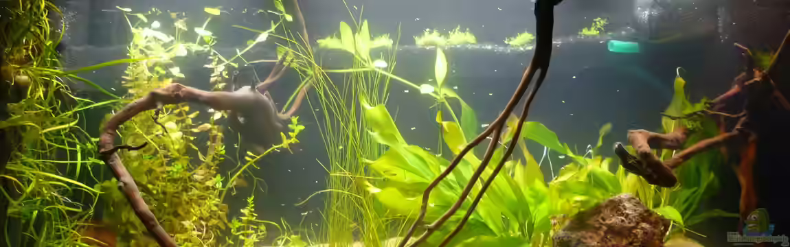 Ruheoase von Stefan E.