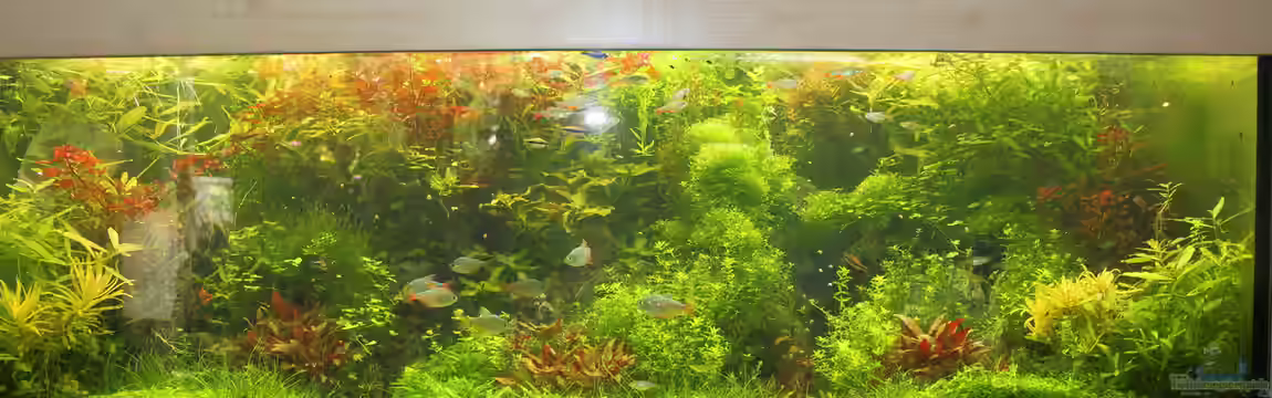 schwäbische Alb von rorchi