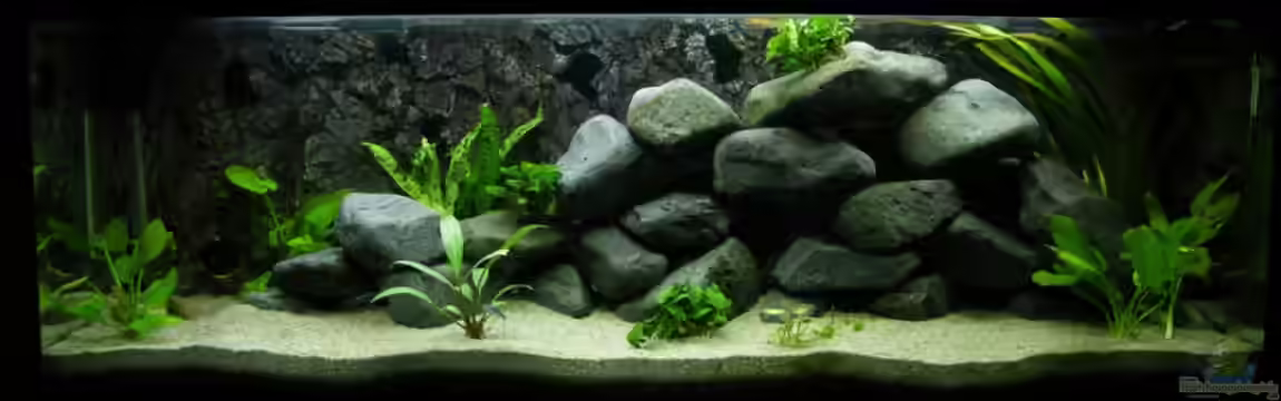 Second chance von Zerta