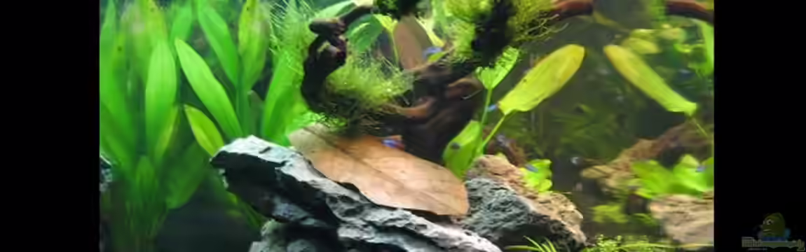 Somewhere else von Marco B.