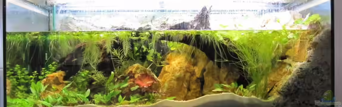 Steilküste mit Wasserfall von Fischfrau