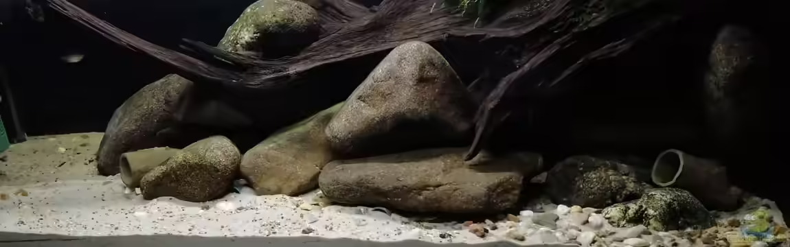 Stomschnelle in Brasilien von Fichte