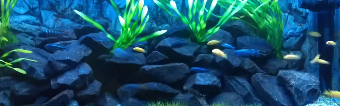 Stone edge von lohmi_5