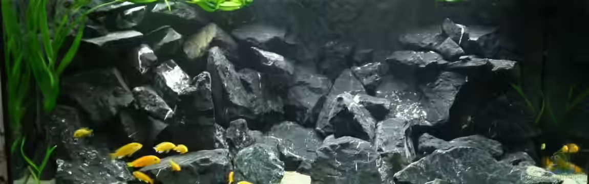 Stoneheaven von Manfred B.