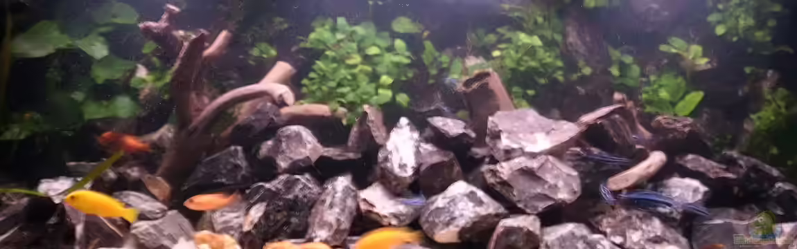 Stoneranch von bl@cky is b@ck