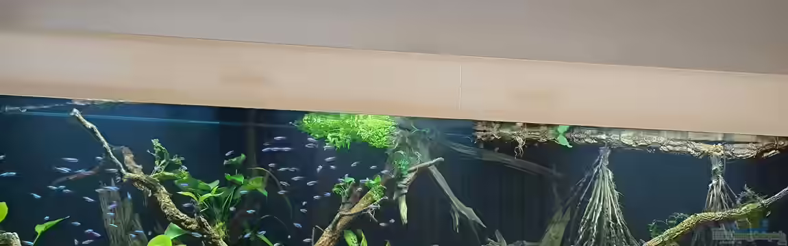 Südamerika Amazonas von Metaphor