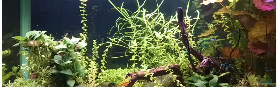 Südamerika Becken von Schnuppe