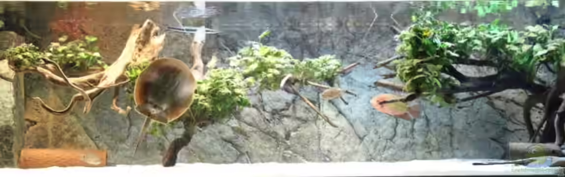 Südamerika GB von AlexDhc