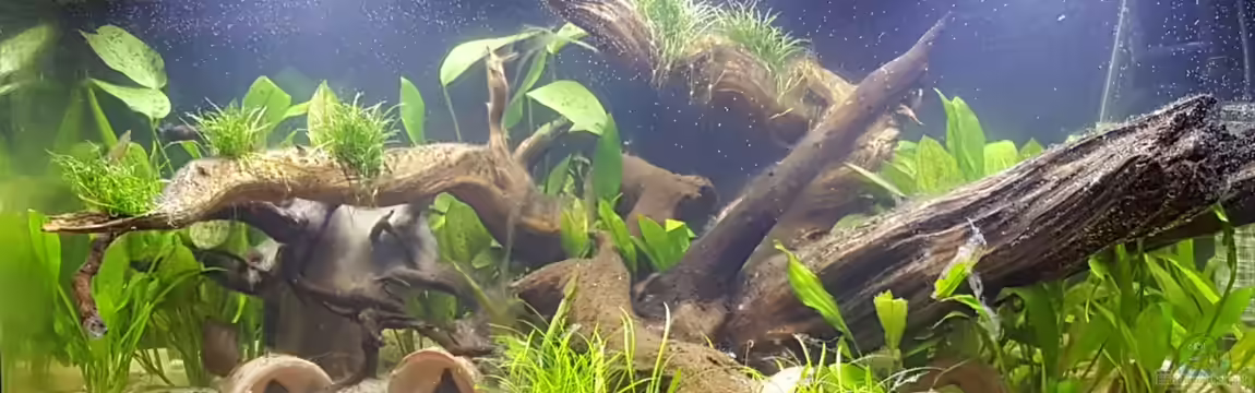 Südamerika in der Oberpfalz von Heppy