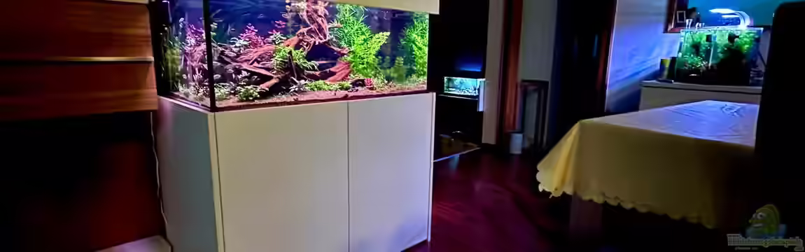 Südamerika Tank von Tim1979