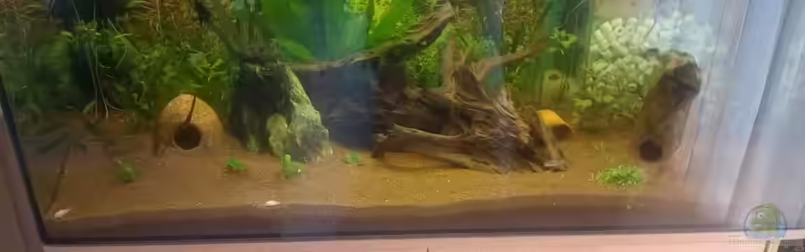 Südamerika von Alexander Alexander