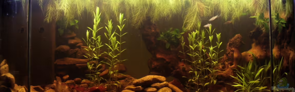 Südamerika von fnordix