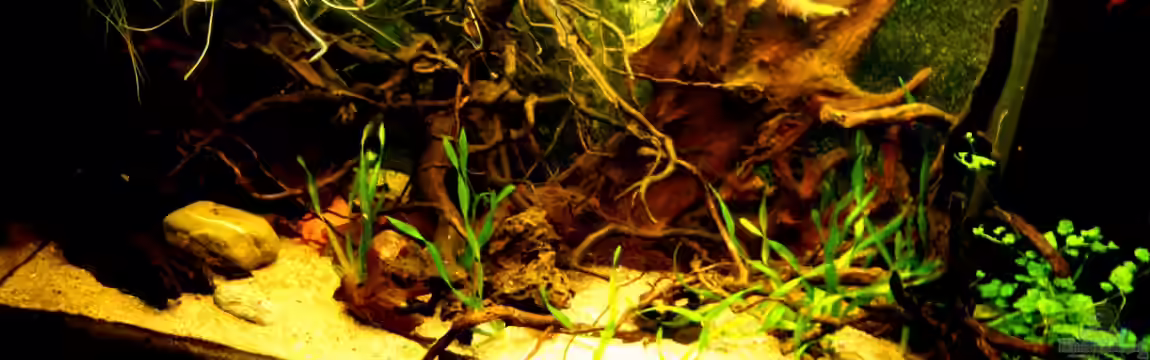 Südamerika von ingrid