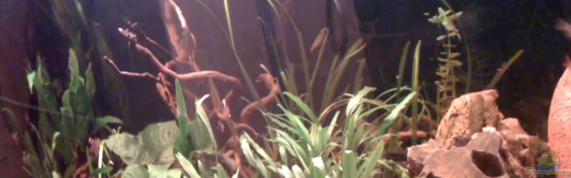 Südamerika von Jürgen Müller