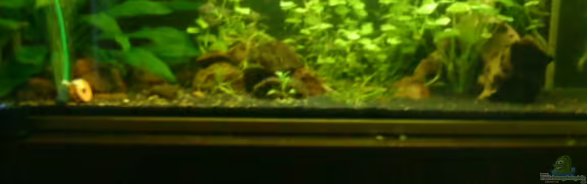 Südamerika von Launebär