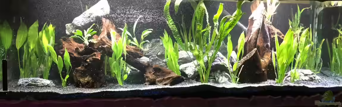 Südamerika von Marius Stößer