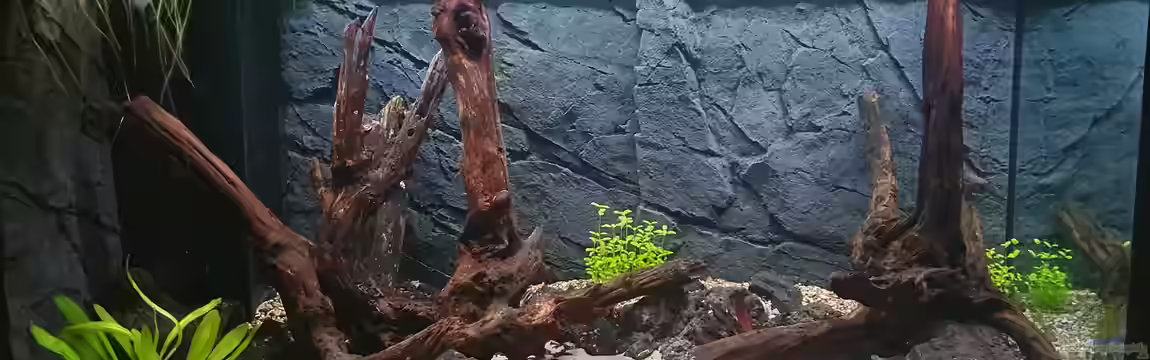 Südamerikabecken von marlin