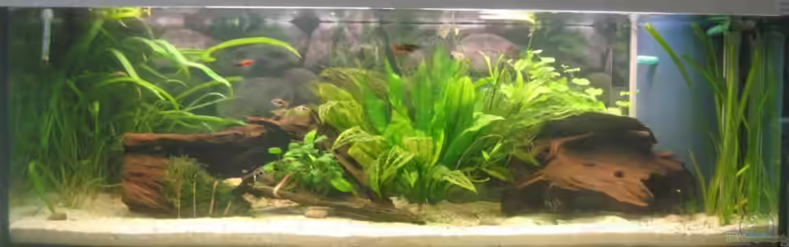 SüdOst Asien 375L Wohnzimmer (nur noch Beispiel) von Tiburón