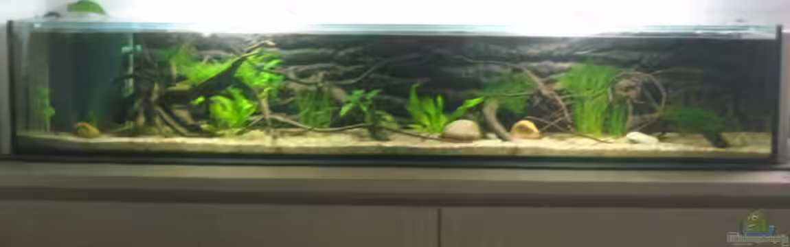 SüdOstAsien (Indien) 105L (nur noch Beispiel) von Tiburón