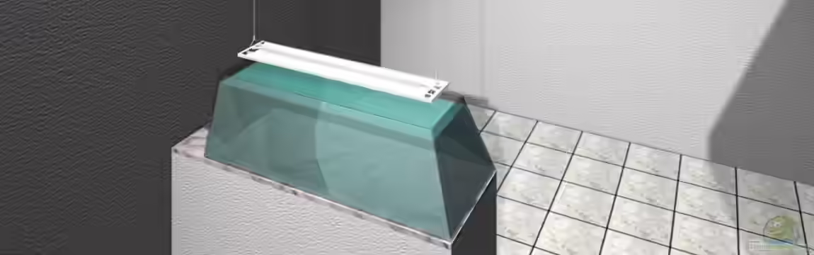 Süßwassercircuit von Tanga italiana