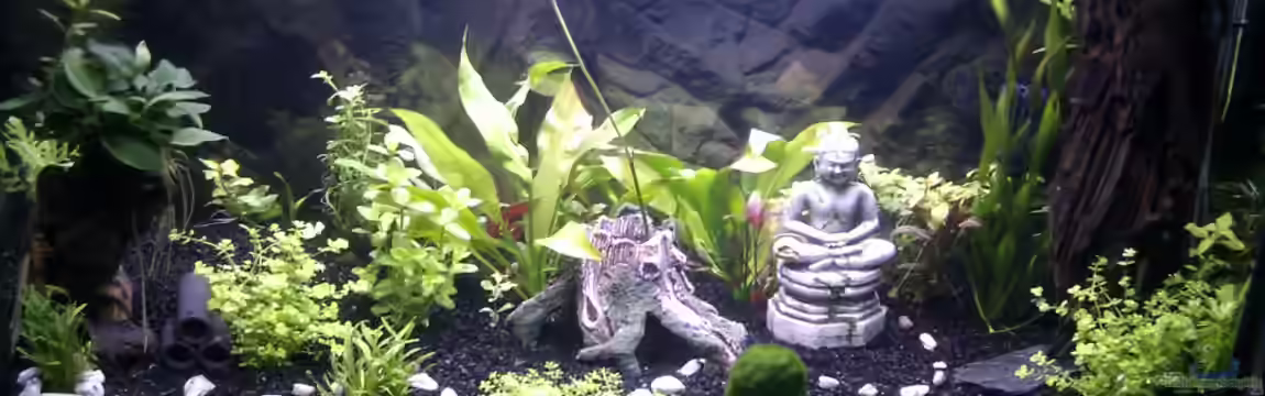 Sydney`s new world von Migaloo