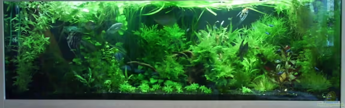 Tägliche inspiration von Der Harzer.