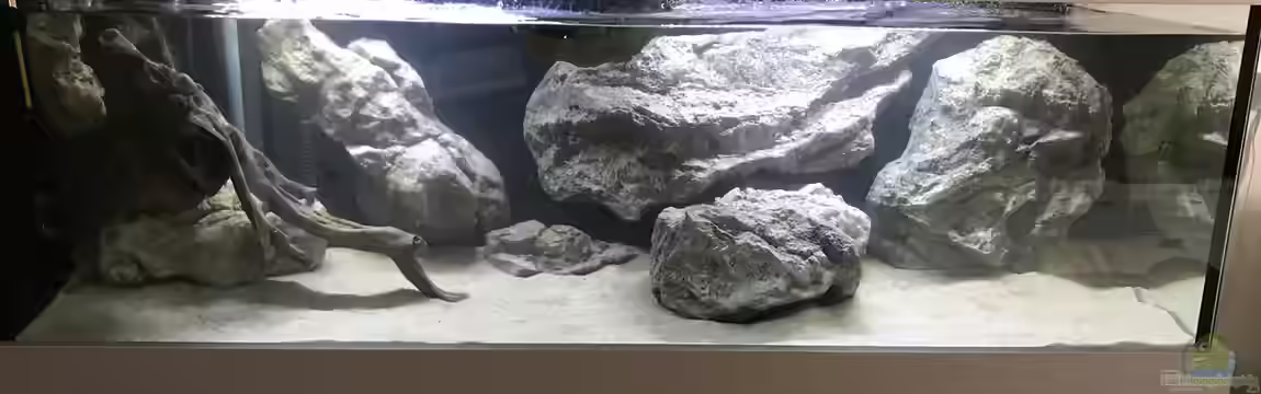 Tanganjika 3.0 von Marco