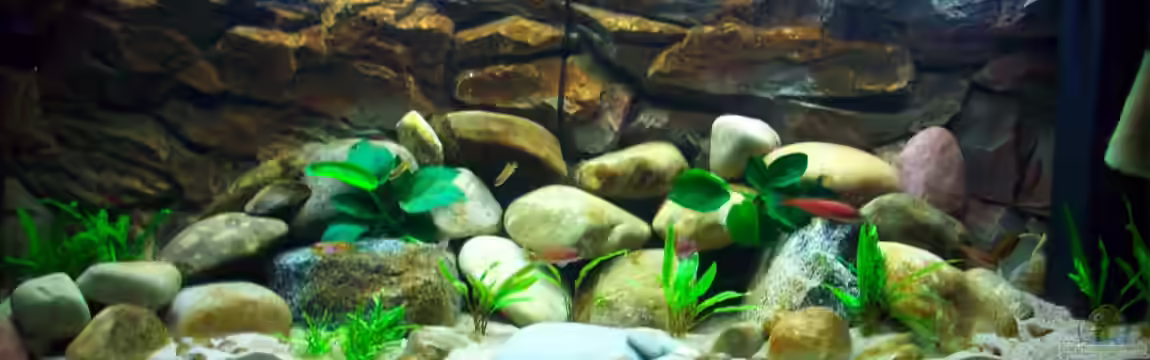 Tanganjika 375 l von Ollinger